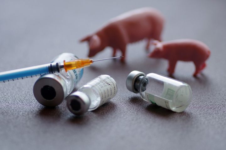 China Prepares to Put African Swine Fever Vaccine Through Clinical Trials