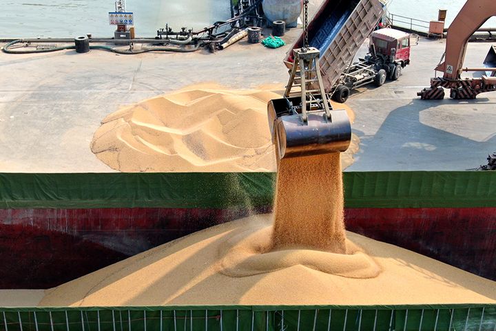 China Pared Soybean Imports by 7.9% Over Nine Months