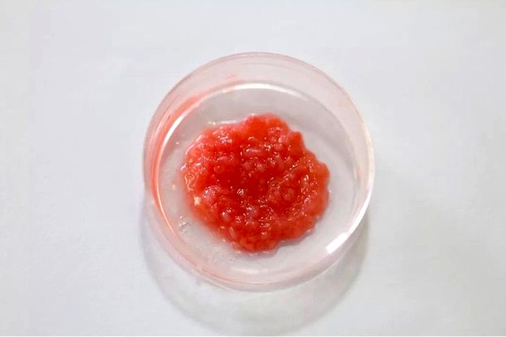 Chinese Scientists Create Country's First Cultured Meat