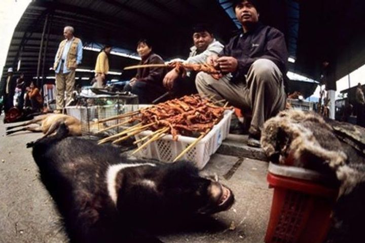 China Suspends Wildlife Trade to Curb Novel Coronavirus