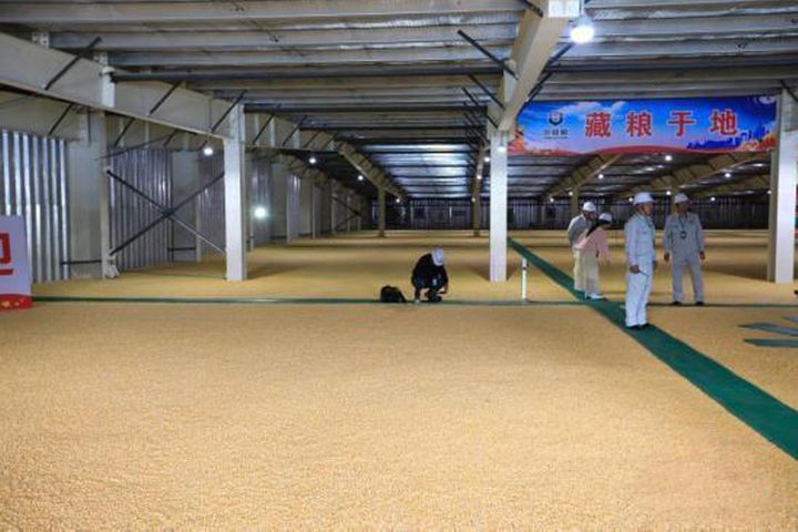 China's Emergency Grain Processors Are Mostly Back to Work