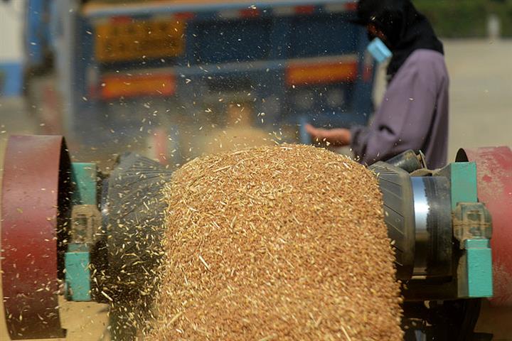 China’s Grain Output to Hit 670 Million Tons in 2020 Despite Smaller Crops