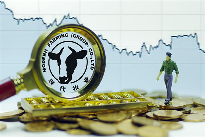 China's Largest Raw Milk Producer Sees Stock Price Soar on First-Half Earnings