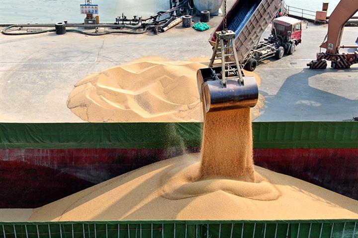 China Imported 17.7% More Soybeans in the First Seven Months