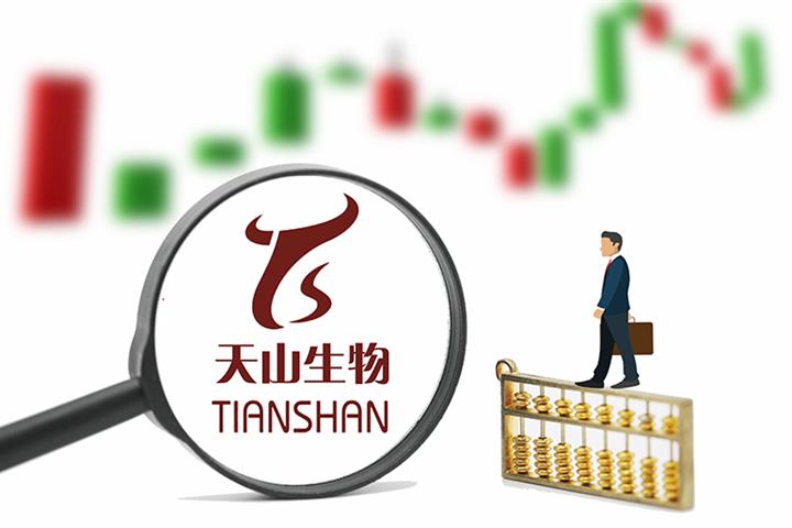Tianshan's Shares Ignore SZSE's Warning of Unfounded Cattle Breeding Rally 