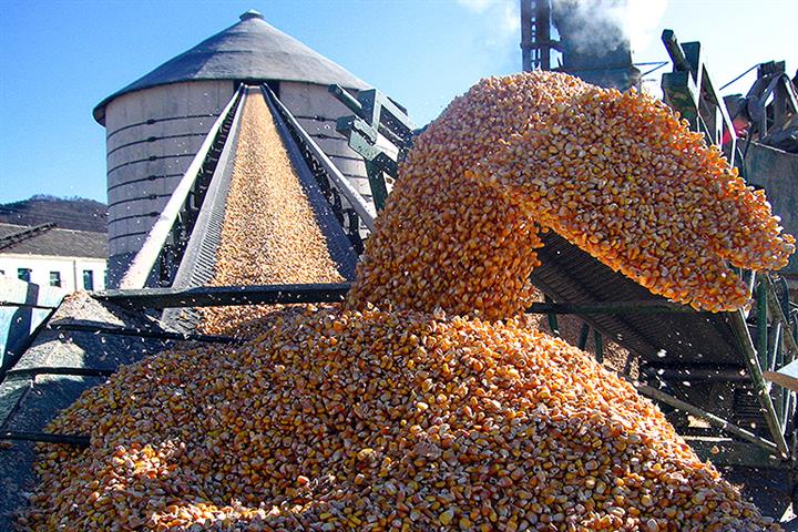 Dalian Commodity Exchange to Raise Corn Futures Margins to Curb Speculation as Prices Soar