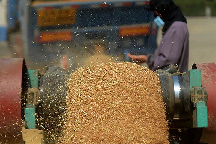 China's Grain Prices Will Stay Stable on Bumper Harvests, Ample Reserves, Ministry Says