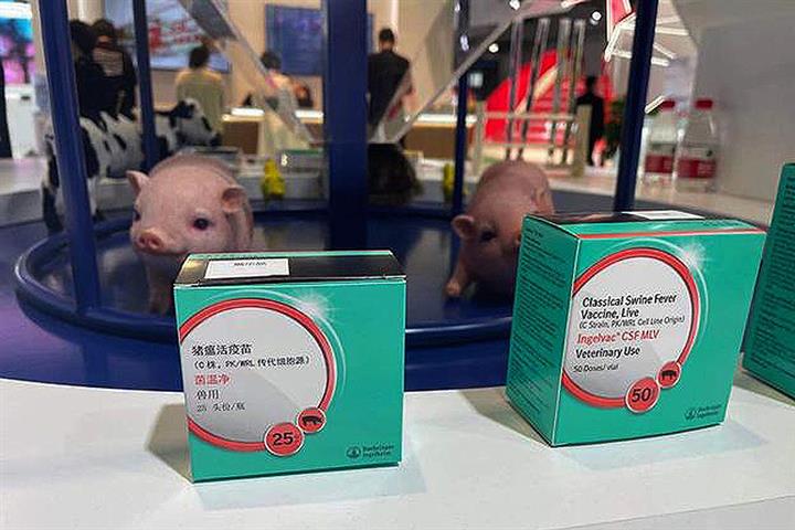 ベーリンガーが中国国際輸入博覧会で豚熱ジャブを発表