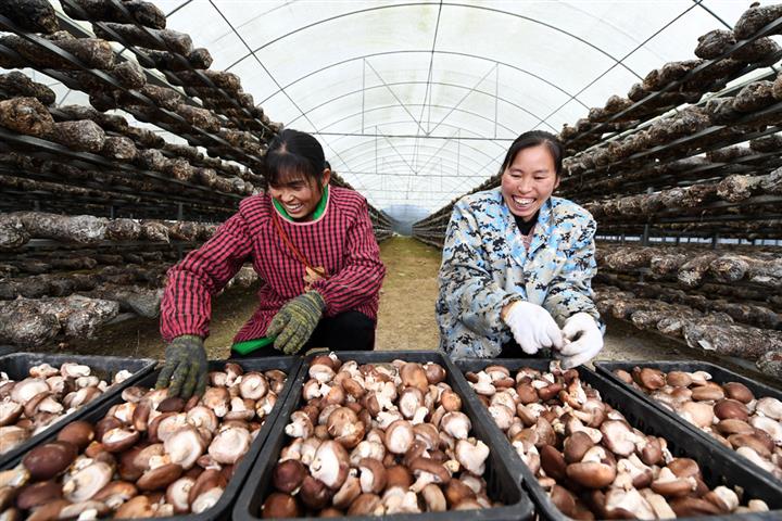 中国が貧困地域に5年間の移行期間を設定