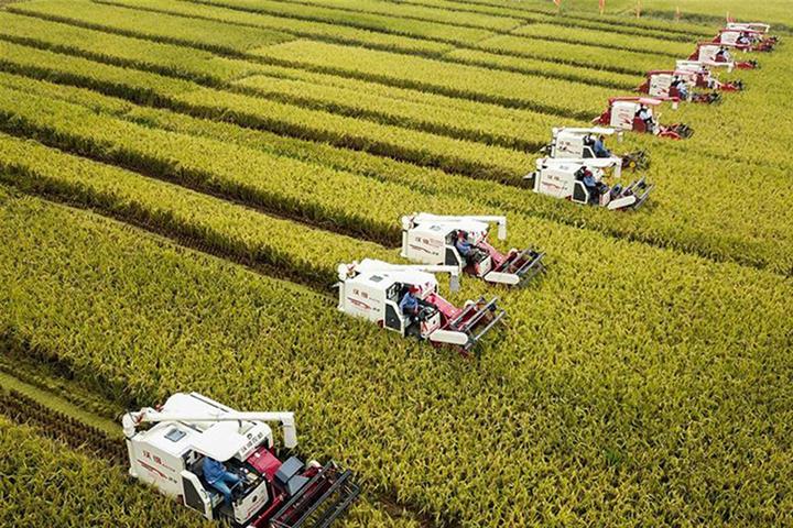 Shiyue Daotian Scores China's Biggest USD274.9 Million Staple Foods Funding in Five Years 