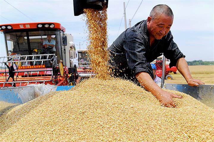China Has Record Summer Harvest