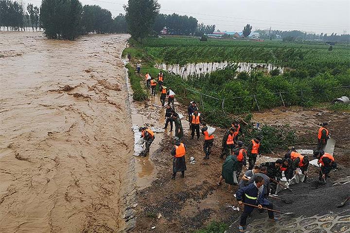 専門家によると、河南省の豪雨は秋の収穫に限定的な影響を与えると予想されている