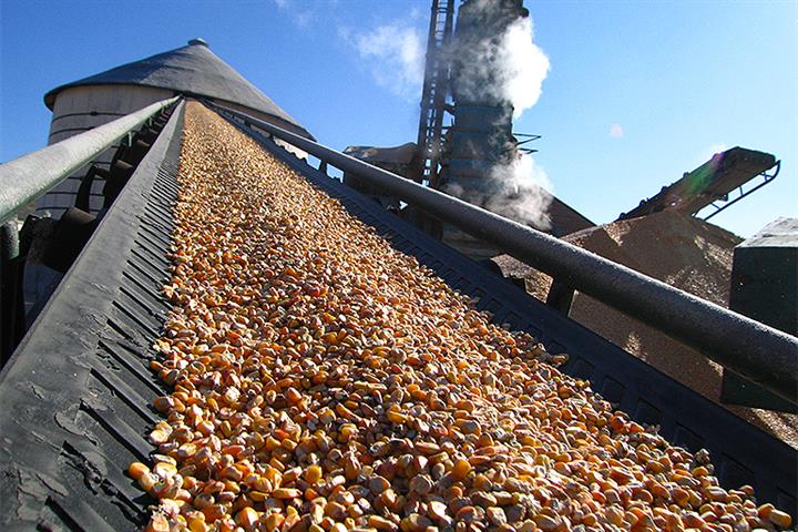 China to ‘Strictly Control’ Corn Ethanol Production Due to Maize Shortage