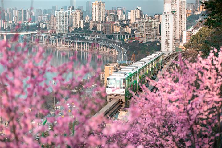 [写真で] 中国はCovid-19ケースが上昇するにつれて花で春分を歓迎する