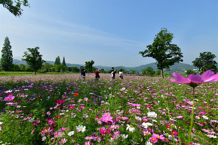 Covid Pauses China's Tourism Recovery as Revenue Drops 43% Over May Holiday