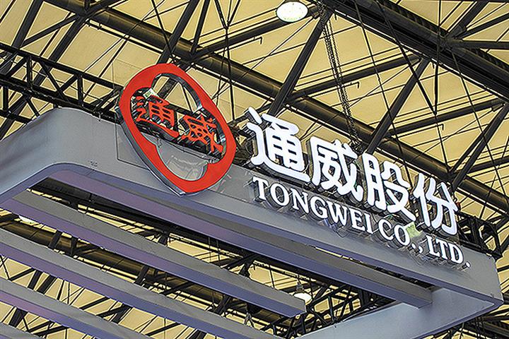 Chinese Solar Panel Makers Slump as Silicon Giant Tongwei Enters Their Turf