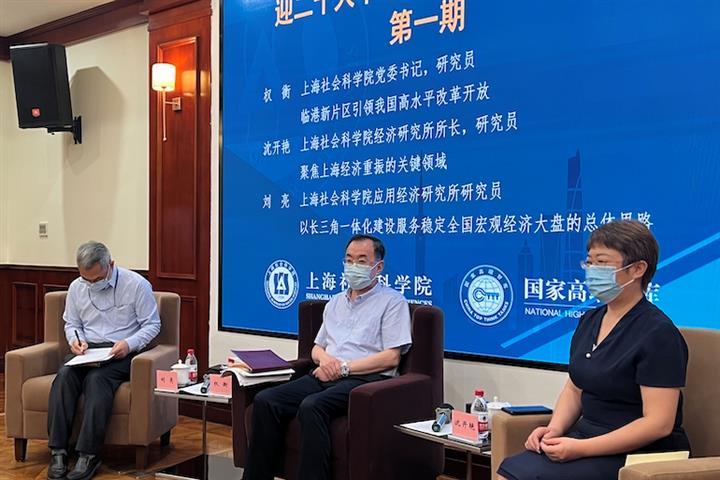 Academics Review Progress of Lingang New Area, Yangtze River Delta