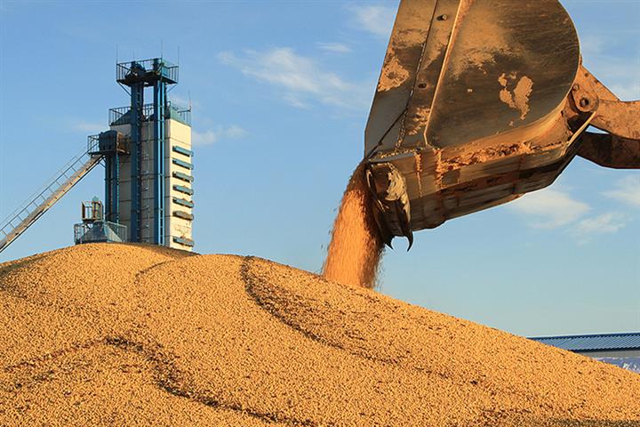 China’s Grain Harvest Stays Above Target for Eighth Year Running