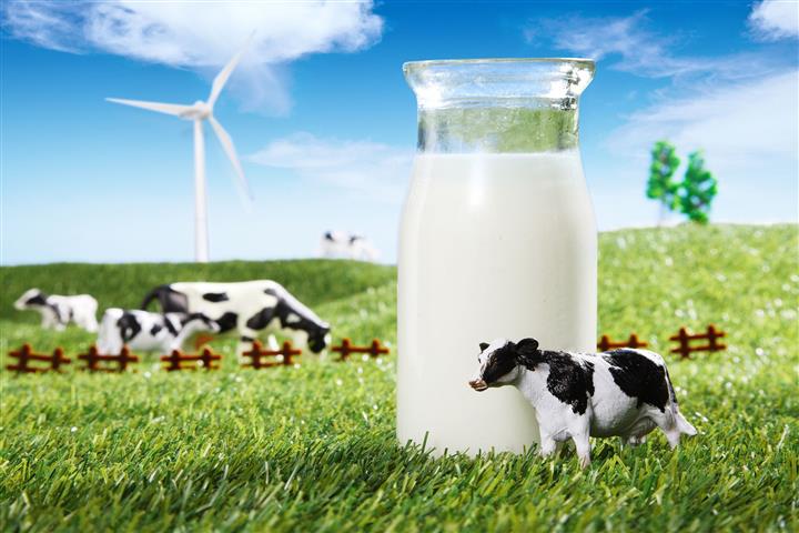 China’s Milk Imports Sink to Four-Year Low Last Year as Rising Prices Squeeze Margins