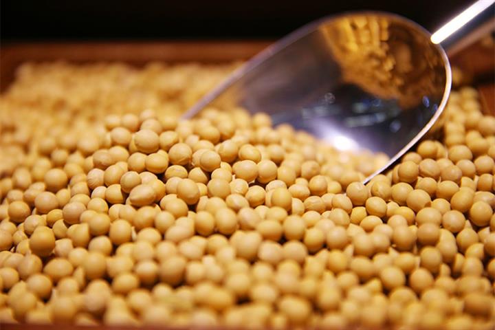 China's Grain Giant Sinograin Hikes Price for Last Year’s Soybean Crop to Encourage Farmers