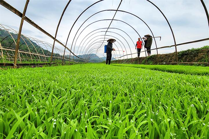 China’s Rural Areas Need USD2.2 Trillion in Investment to Unleash Potential, Gov’t Official Says