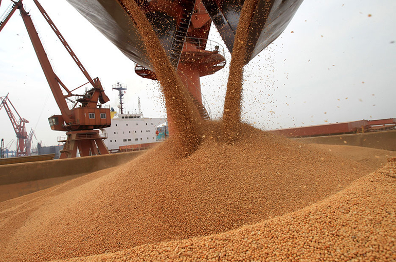 China’s Soybean Imports From Brazil Exceed Those From US in April