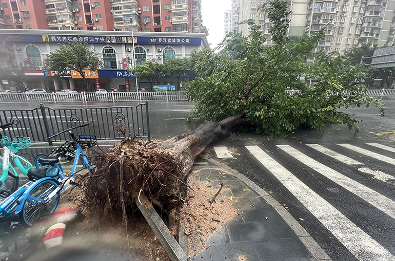 [In Photos] Xiamen Stops to Await China's Strongest Typhoon in 2023