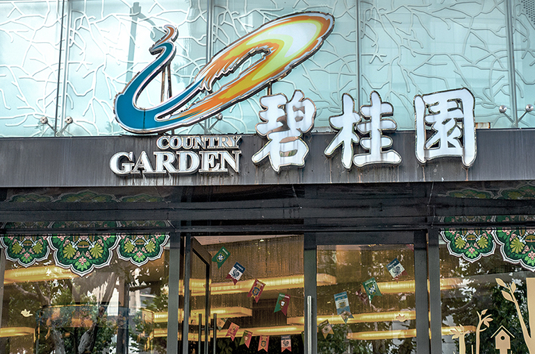 Country garden holdings