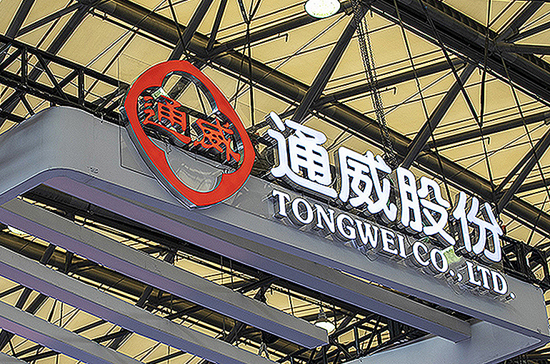 Tongwei’s Shares Jump After Chinese Silicon Giant Pulls USD2.2 Billion Private Placement