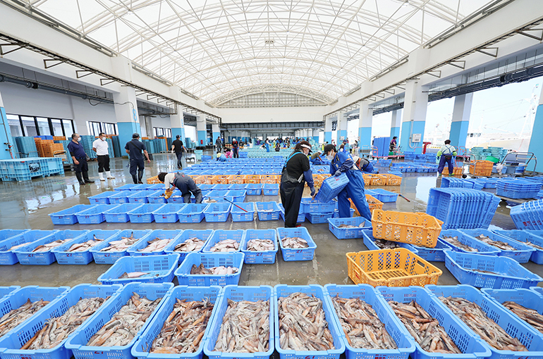 China’s Seafood Imports From Japan Plunge 66% in August Amid Import Ban
