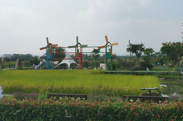 China’s Zhejiang Province Pilots Village CEO System to Boost Economic Performance
