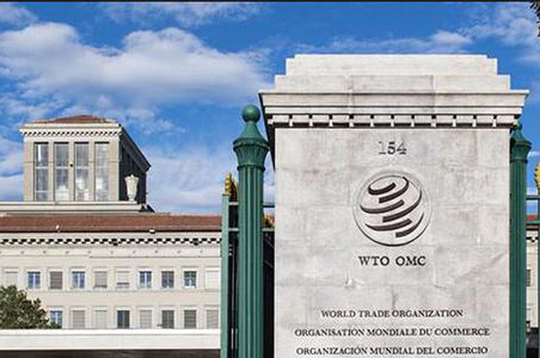 [Exclusive] WTO Representatives Grill India on Latest Import Restrictions on Electronic Items