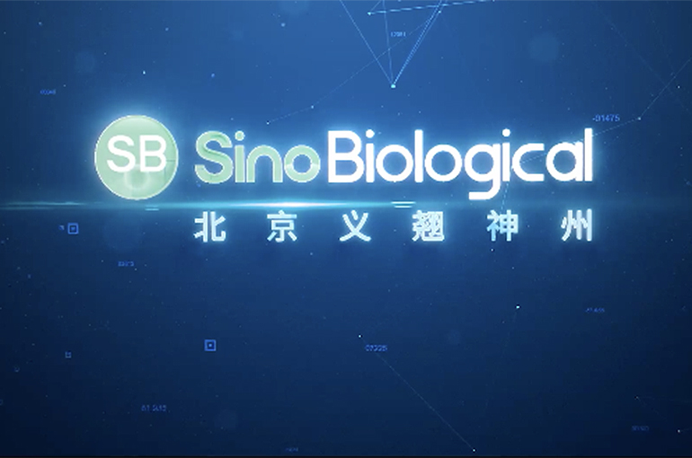 China’s Sino Biological to Buy Canada’s SignalChem Biotech for Up to USD48 Million