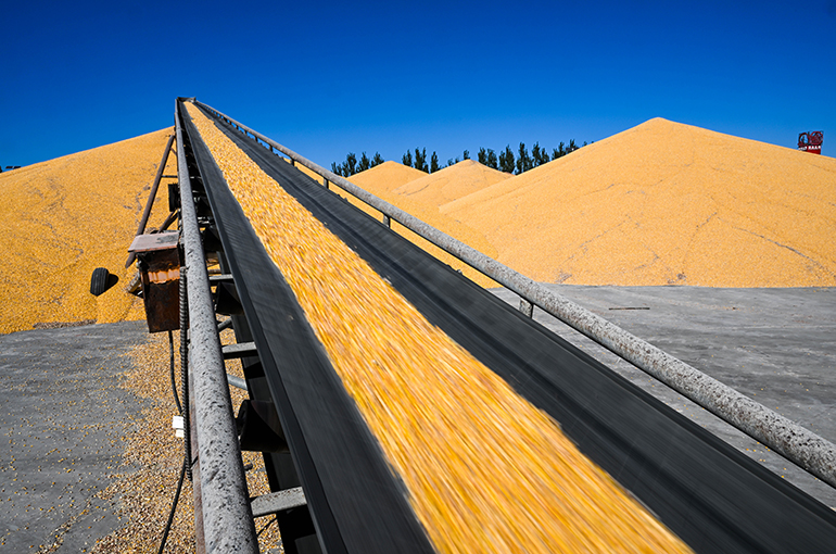 China's 2023 Grain Output to Hit All-Time High of Over 650 Billion Kg