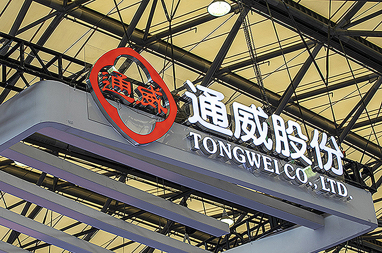 PV Giants Tongwei, TCL Zhonghuan Slide After Third-Quarter Revenue Drops on Lower Prices