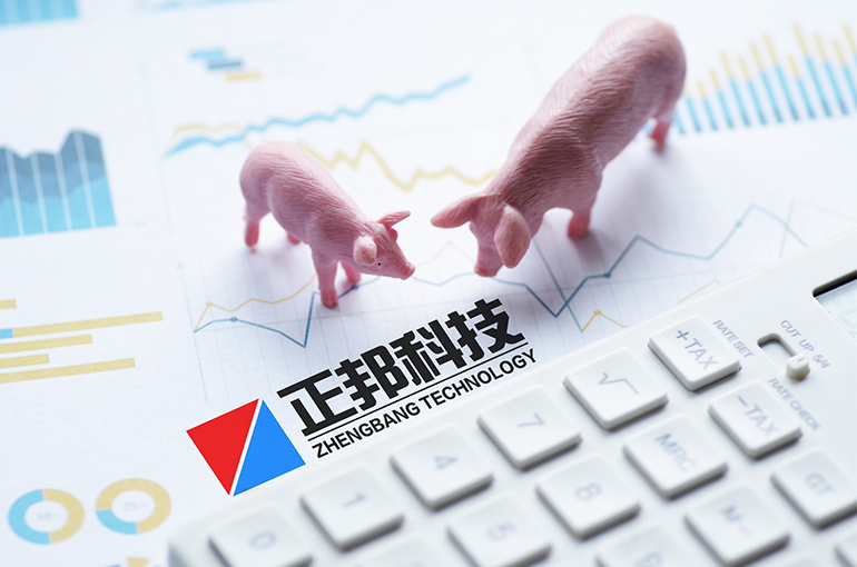 Chinese Pig Farmer Zhengbang Brings In Peer Shuangbaotai as Controlling Shareholder