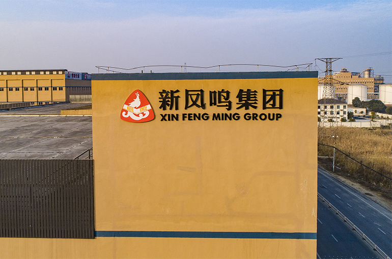 China's Xinfengming Sinks by Limit as USD2.8 Billion Expansion Plan Sparks Overcapacity Fears