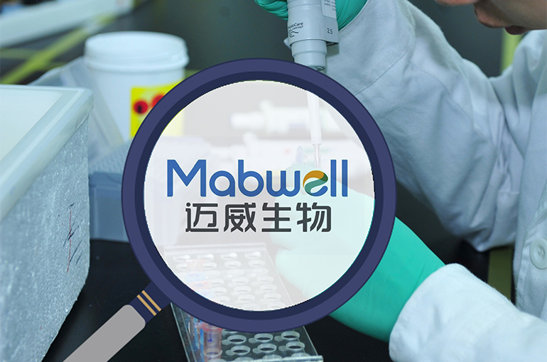 China’s Mabwell Soars Despite Biotech Firm Ending Licensing Deals for Two Cancer Drugs