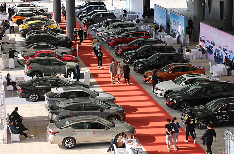 China to Have 100 Million NEV in Use by 2030, CAS Academician Predicts