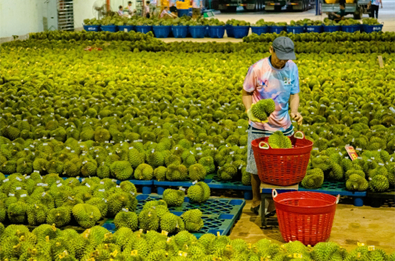 Vietnam’s Imports From China Surge 24% to USD29.4 Billion in First Quarter