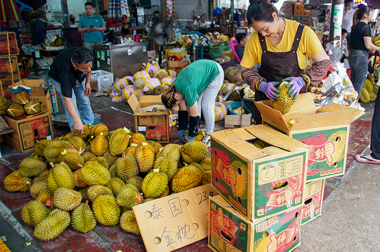 Durian Prices in China Tumble on Ample Supply, But Should Pick Up Soon, Insiders Say