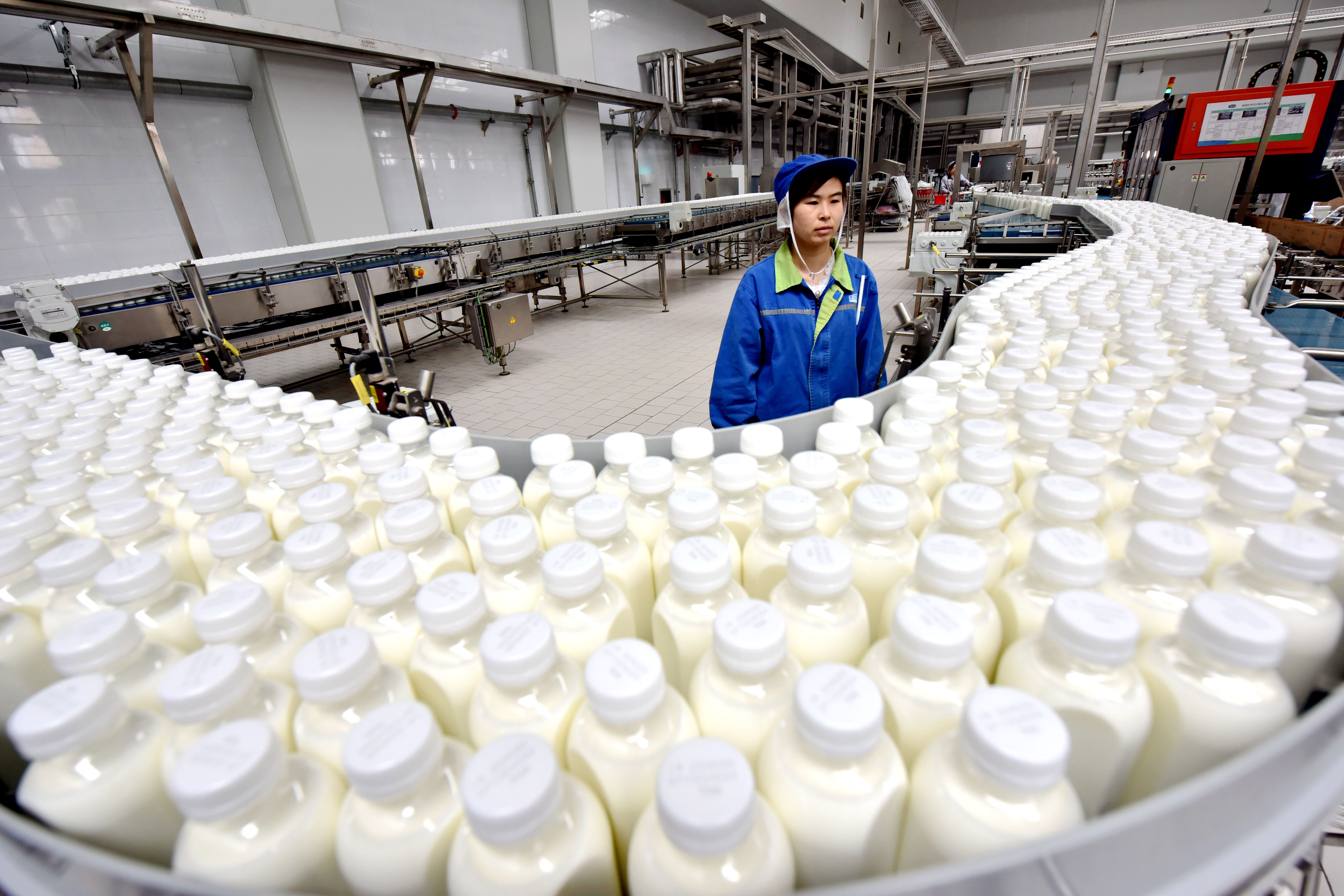 Most of China’s Dairy Firms Are in the Red as Price Falls Below Cost for First Time