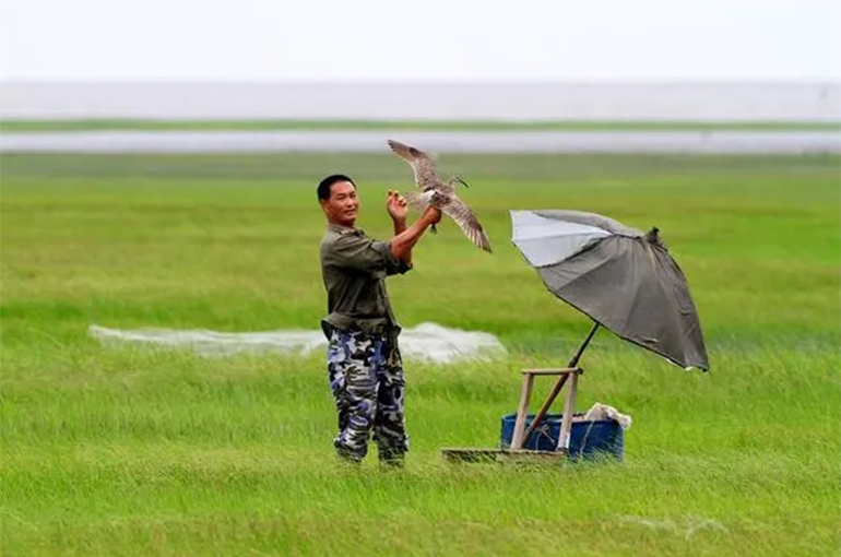 Chongming Dongtan Reserve Is Shanghai’s First Site to Make World Natural Heritage List