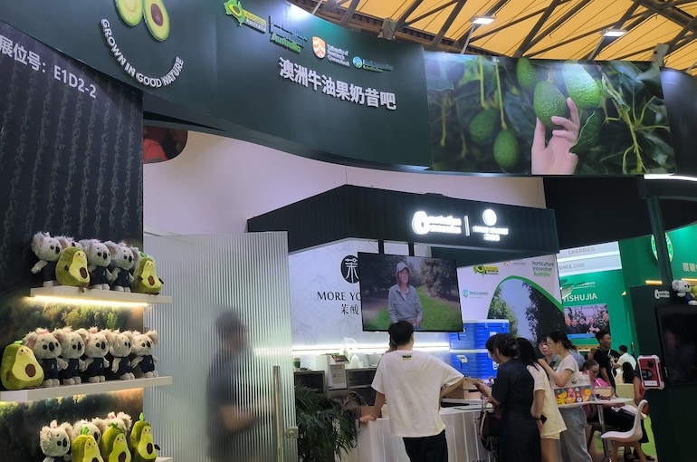 Avocados Australia Joins China’s Fruit Expo in Bid to Hasten Market Entry