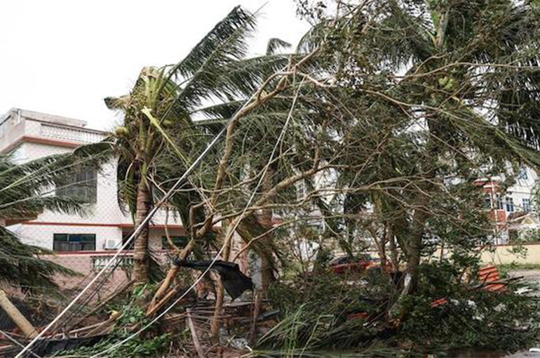 Super Typhoon Yagi Causes at Least USD11 Billion of Damage in China's Hainan Province