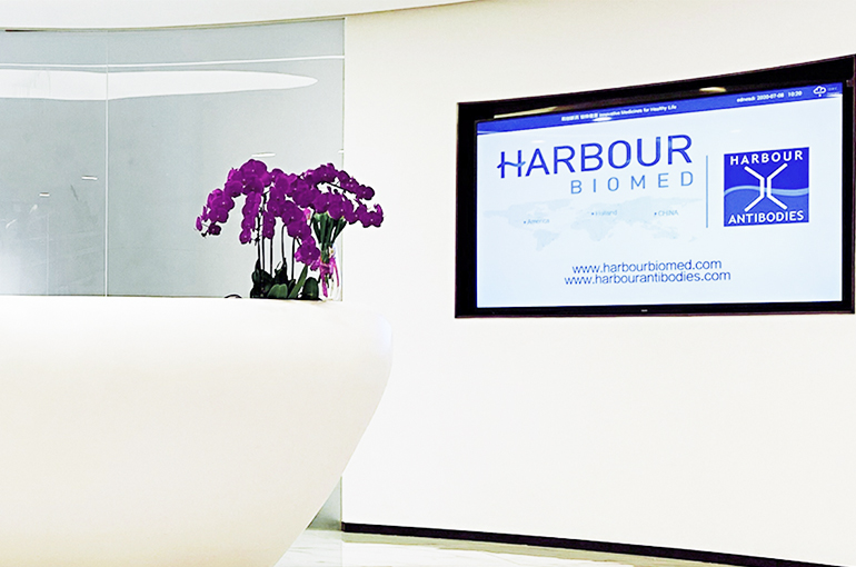 Harbour BioMed, Kelun-Biotech Grant Windward Bio Global Rights to Anti-TSLP Antibody for USD970 Million
