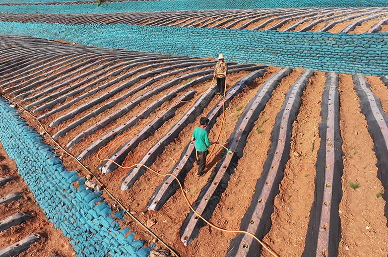 Severe Drought Hits Henan, Jiangsu, and Other Chinese Provinces