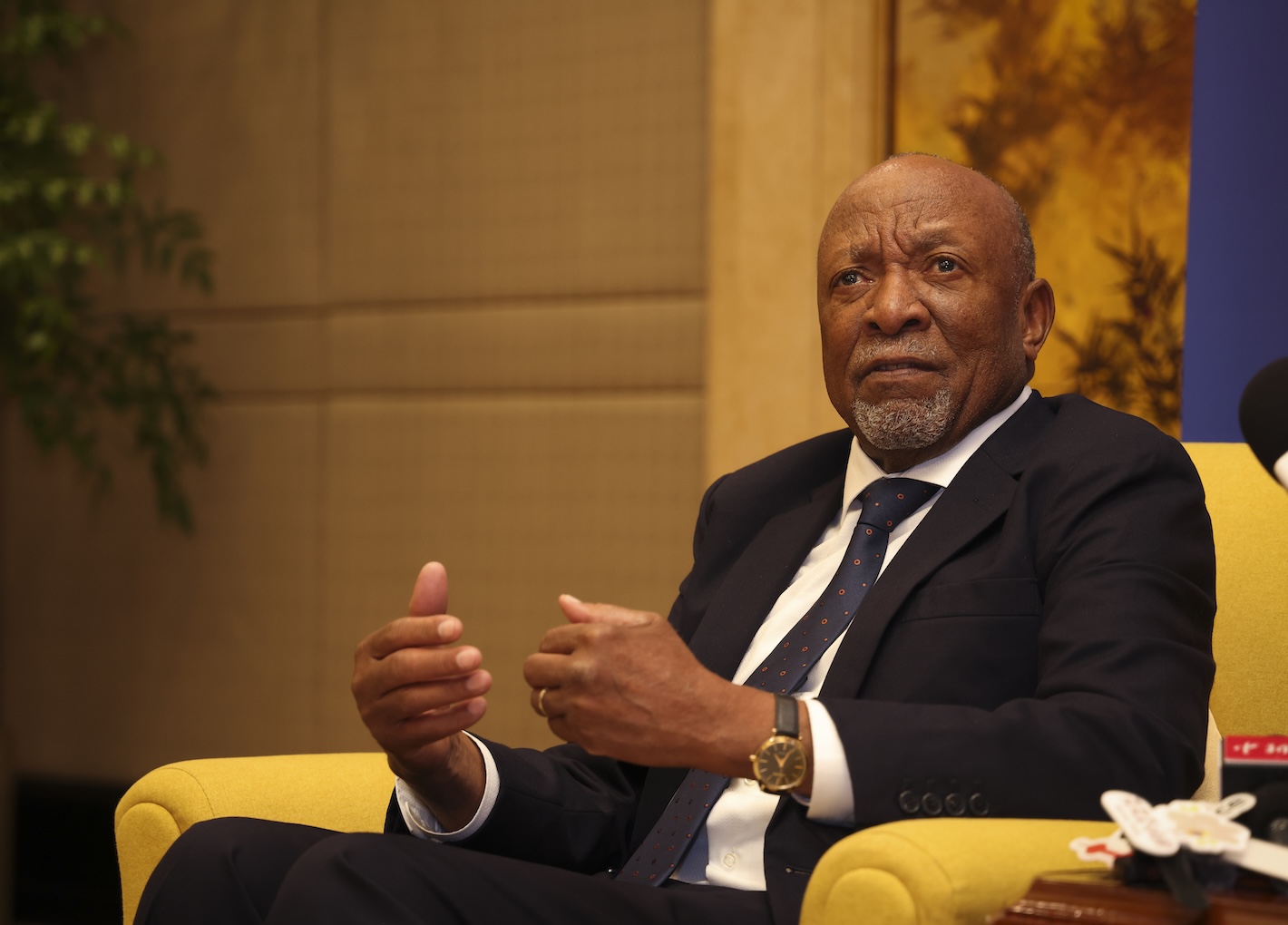Farming, Mining Are New Pillars of China-Namibia Cooperation, Ex-President Says