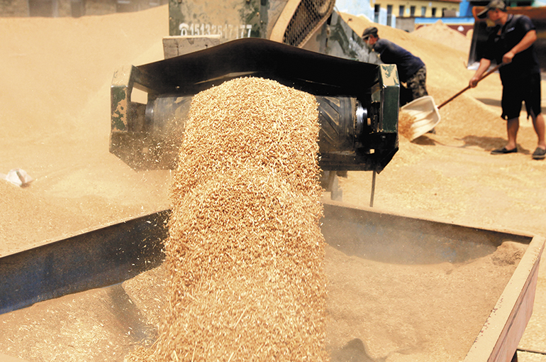 Over Three-Quarters of Crops in China Are Planted, Harvested Using Machines, Crop Production Chief Says