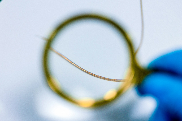 Chinese Scientists Create Flexible Electrode for Next-Gen Brain Implants